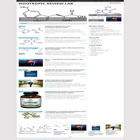 Best Nootropic Supplement Stacks: Best Nootropic Supplement Stacks